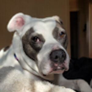 Meet your Posher, Cassidy